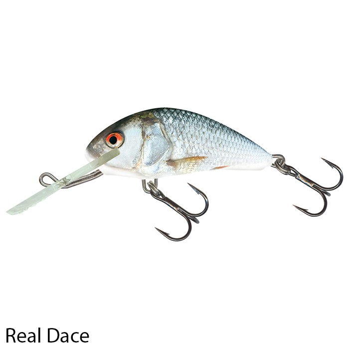 Hornet 6cm Floating Lure Real Dace