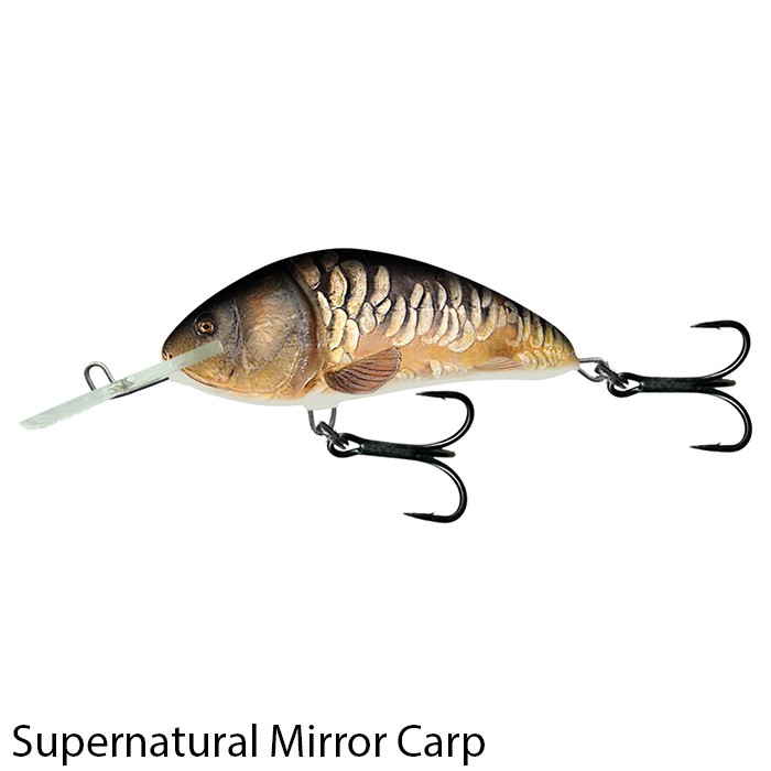 Hornet 9cm Floating Lure Supernatural Mirror Carp