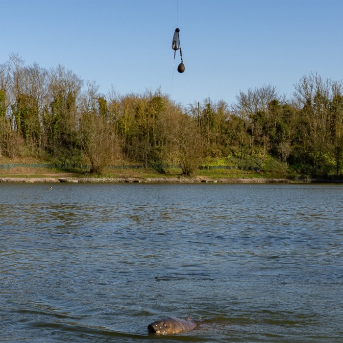 Korda Adjustable Fishing Zig Kit In Use 2