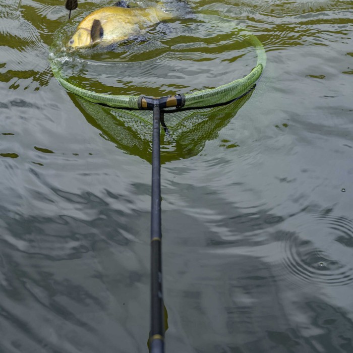 Korum Allrounder Multi Landing Net Handle 3m In Use