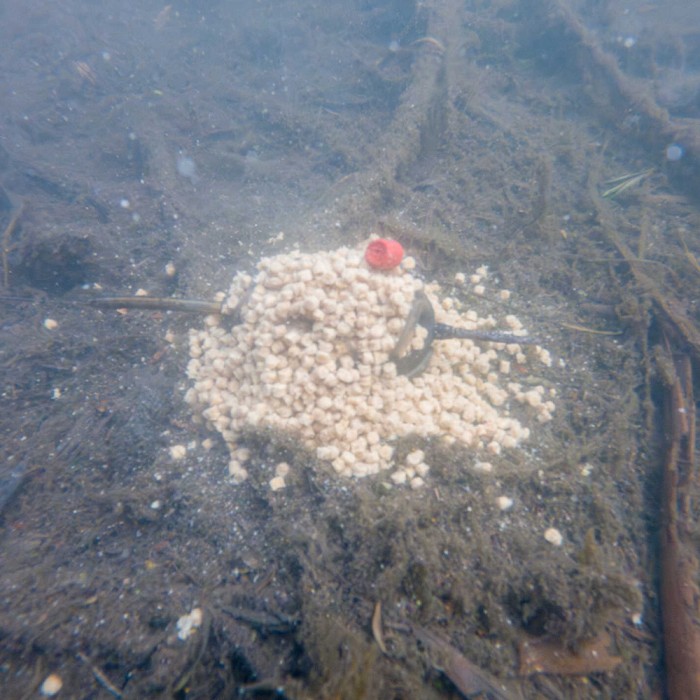 Korum Double Method Feeder 6