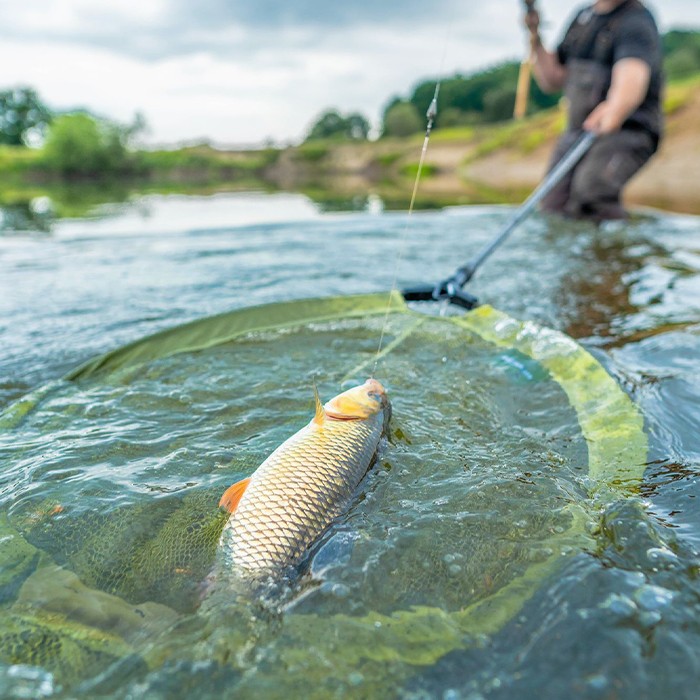 Korum Fast Net Head In Use 1