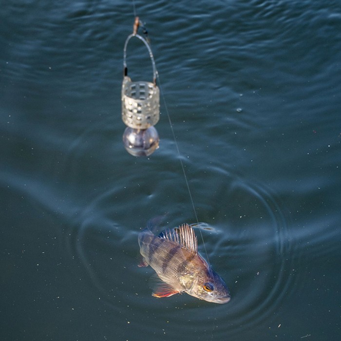 Korum Slow Sinking Feeder 2