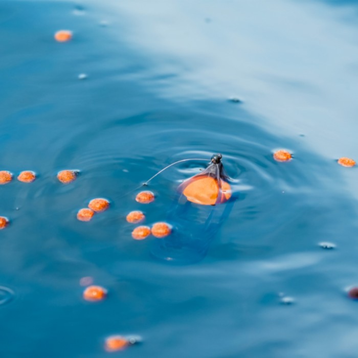 Korum Surface Feeder Float 4