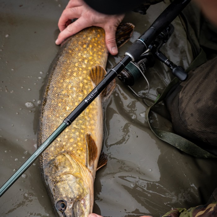 Westin Predator Specimen Rod - Semi Tele