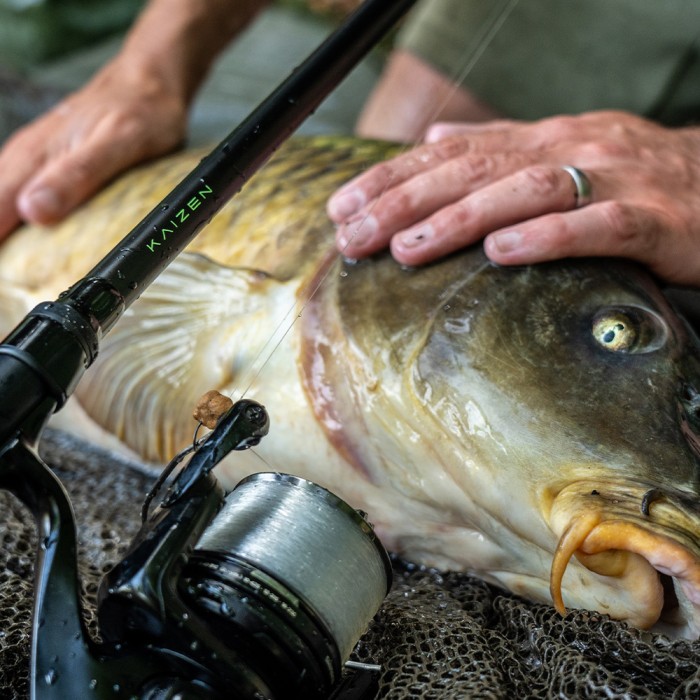 Korda Kaizen Green Floater Rod In Use 1