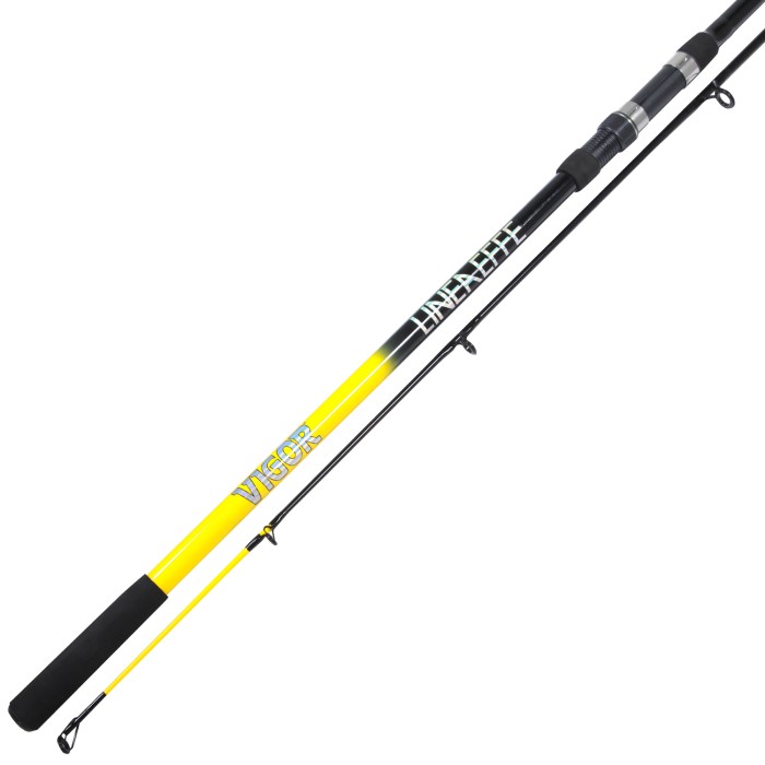 Lineaeffe Beach Caster 2 Rod 2