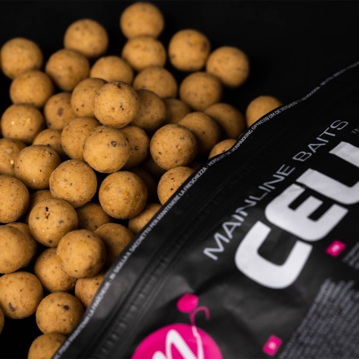 Mainline Cell Shelf Life Fishing Boilies Close Up 1