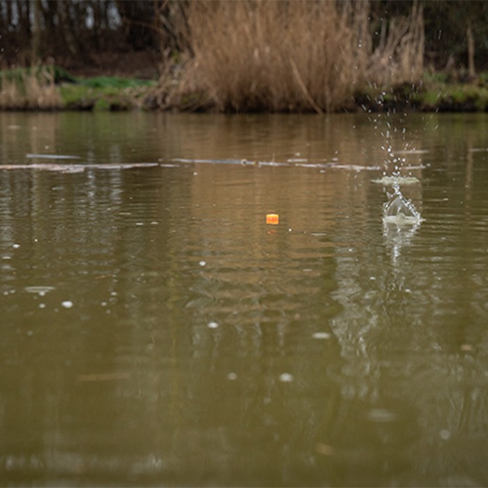 Matrix 12mm Pellet Wagglers In Use 2