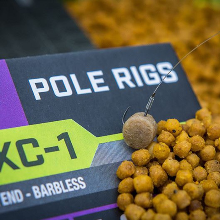 Matrix MXC-1 Pole Fishing Rig In Use 2