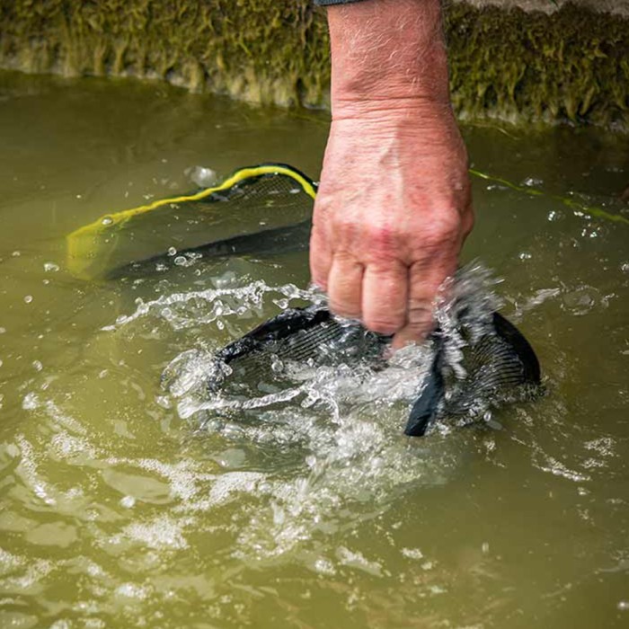 Matrix Pellet Soaker In Use 2