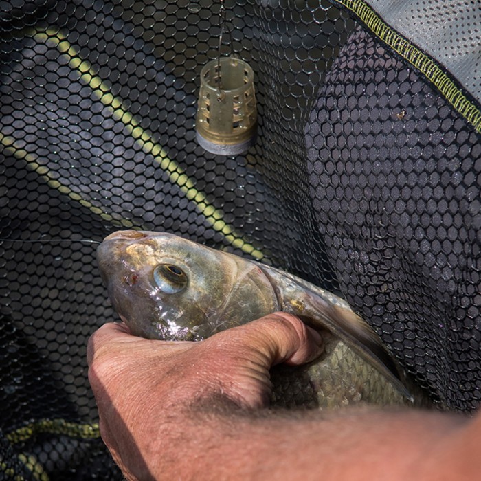 Matrix Plastic Bottom Weighted Feeders In Use 1