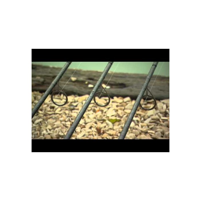 Daiwa Infinity DF Carp Rod 2