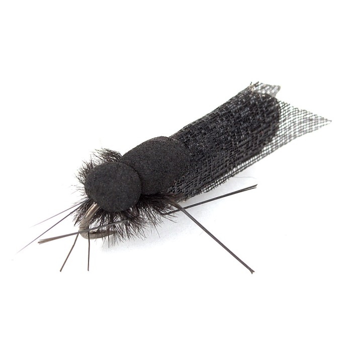 Nash Black Sedge Bugs