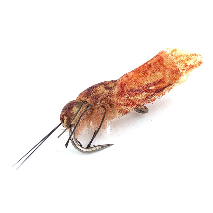 Nash Brown Sedge Bugs