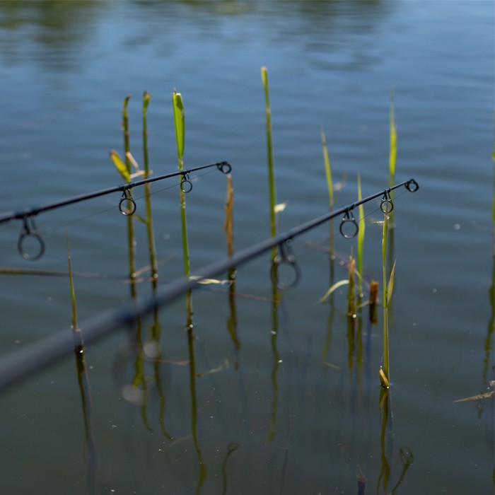 Nash Dwarf Cork Fishing Rods In Use 6