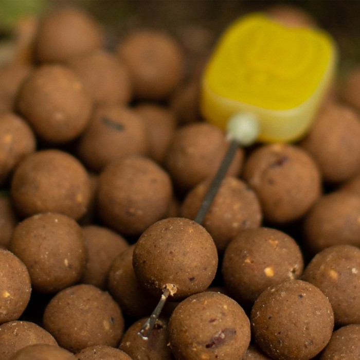 Nash Scopex Squid Stabilised Boilies 8