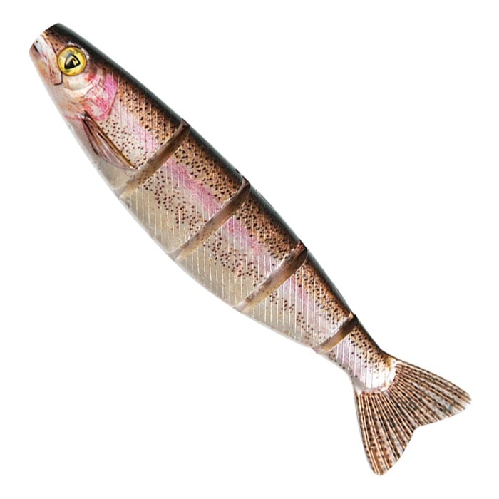 Super Natural Rainbow Trout