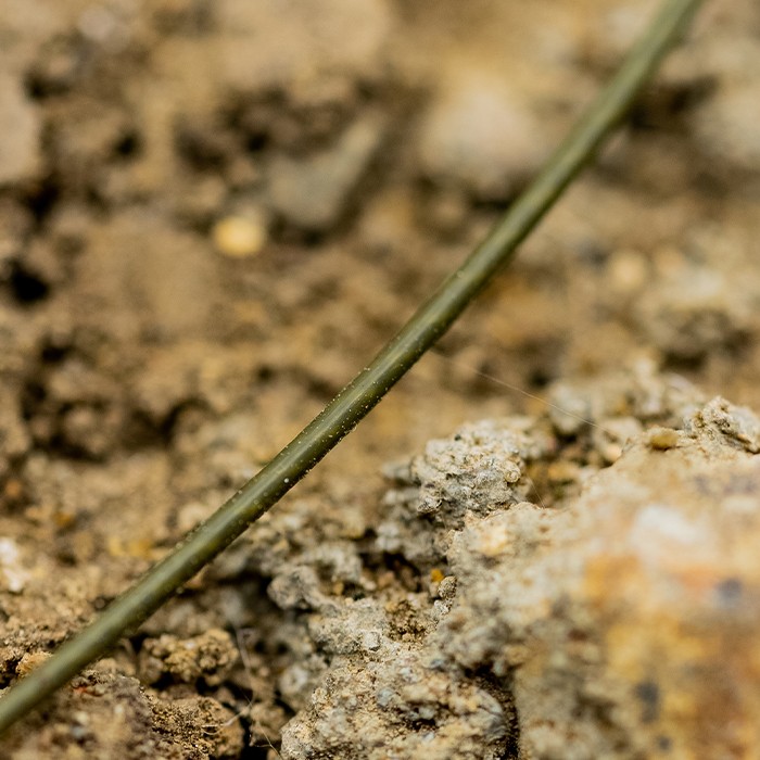 OMC Blend Big Beast Fuzed Kevlar Fishing Leader Close Up 4