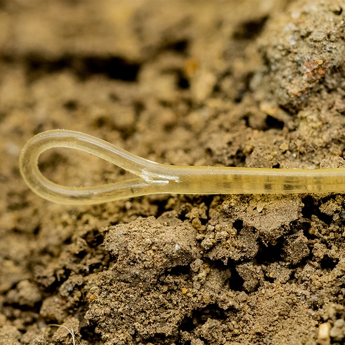 OMC Blend Fuzed QC Fishing Leader Close Up 7