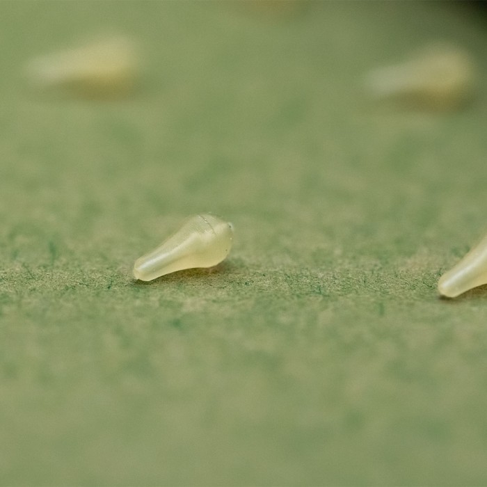 OMC Dazzlers Mago White Long Distance Fishing Hook Bead Close Up 2