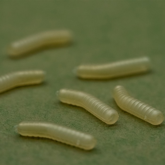 OMC Dazzlers Magoliner Fishing Rig Inturn Close Up 1