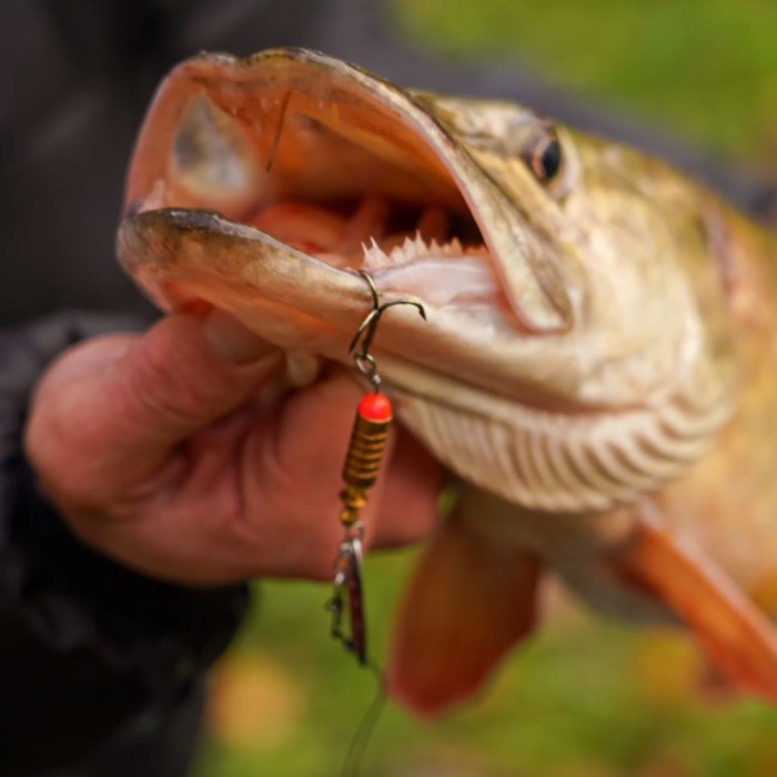 OMC FC Lure Kit - Medium