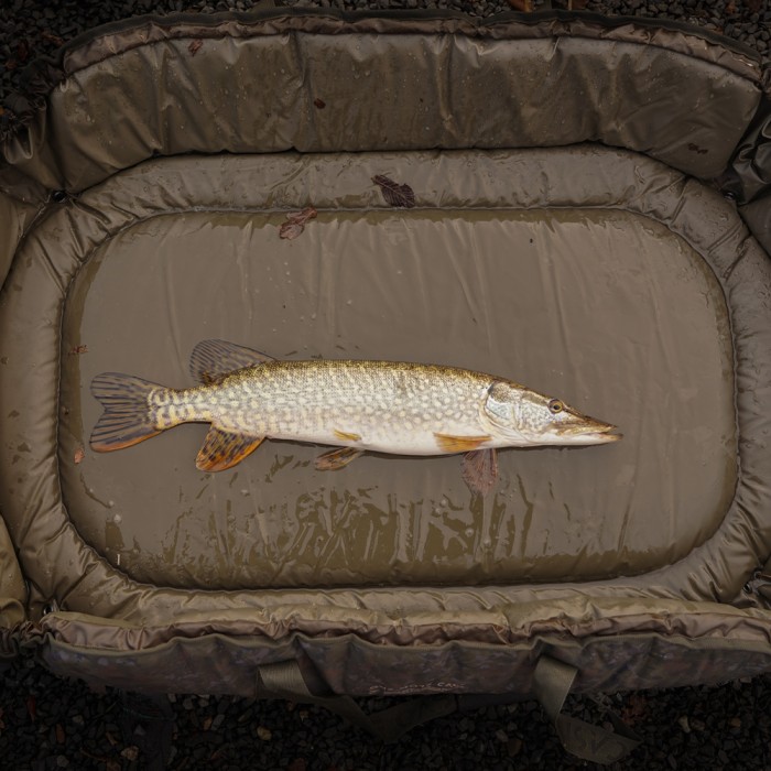 OMC Heist PB Roll Mat 3