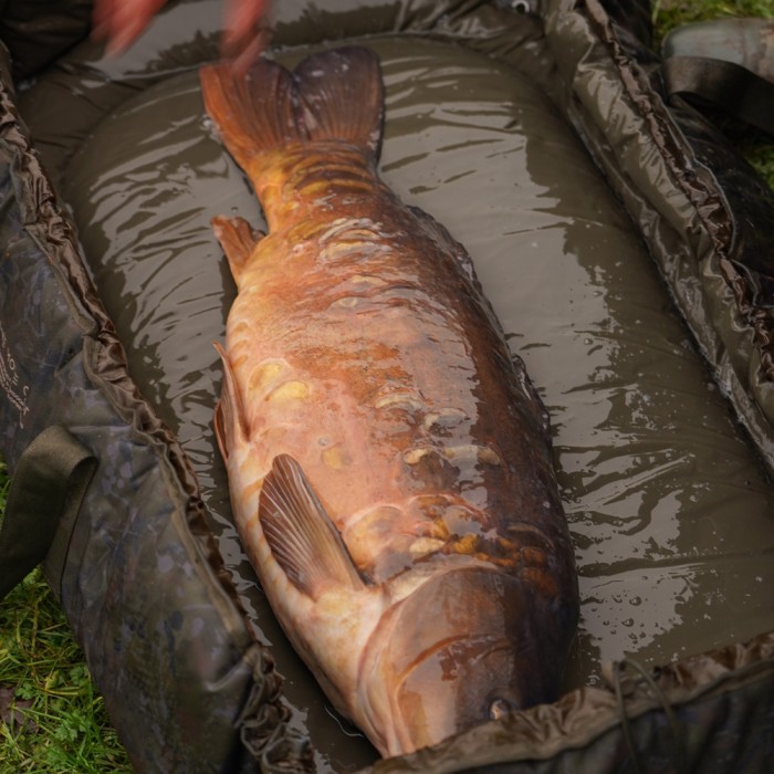 OMC Heist PB Roll Mat 5