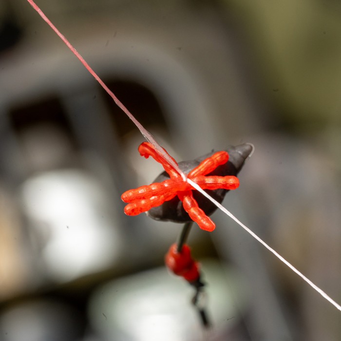 OMC Revibed Bloodliner Tippers 2