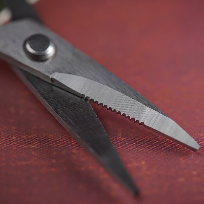 OMC Sunny Skizza Scissors Close Up 2