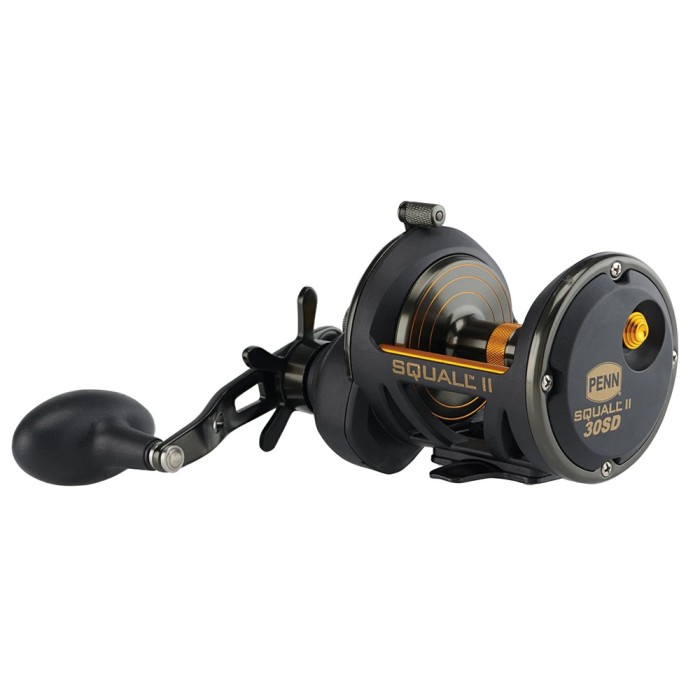 Penn Squall II Star Drag Conventional Reel 1