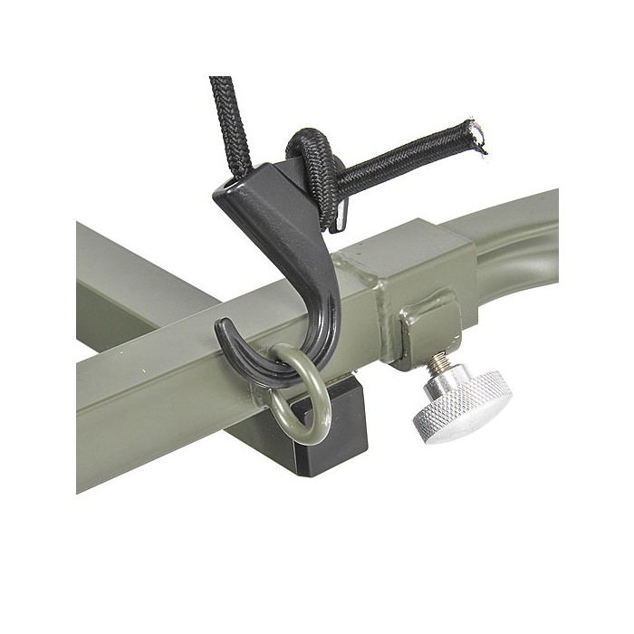 Carp Porter Close Up