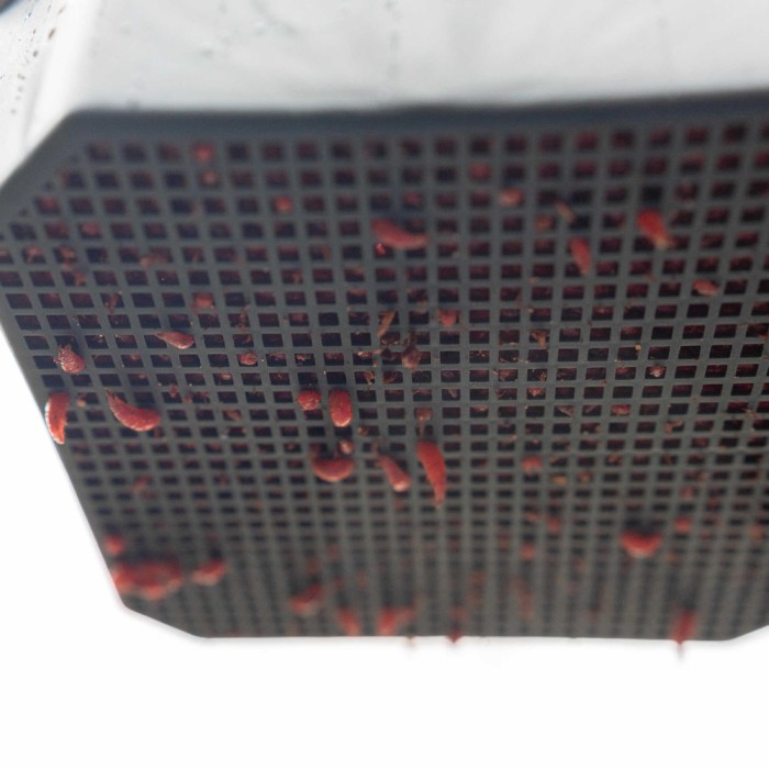 Preston 2 Pint Maggot Riddle 4