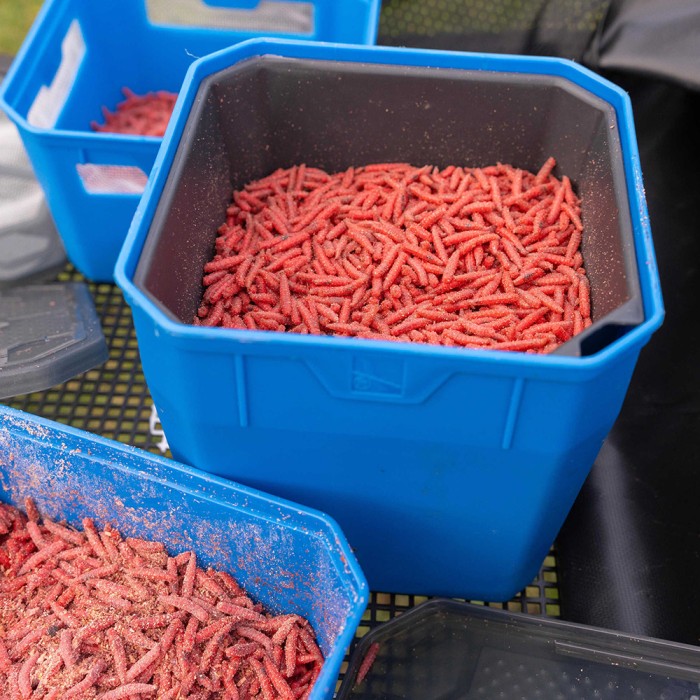 Preston 4 Pint Bait Tub 3