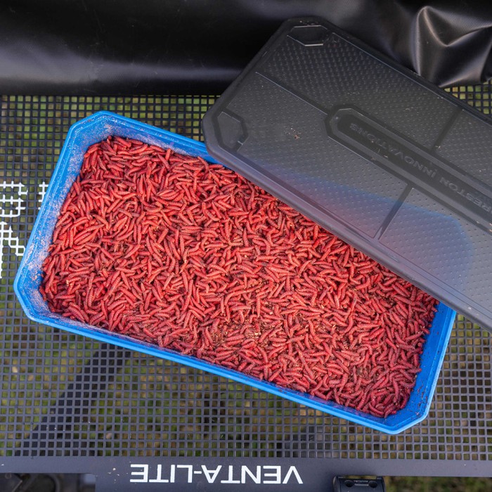 Preston 6 Pint Bait Tub In Use 2