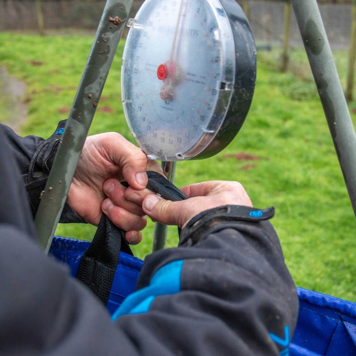 Preston Heavy Duty Fishing Weigh Bag In Use 1