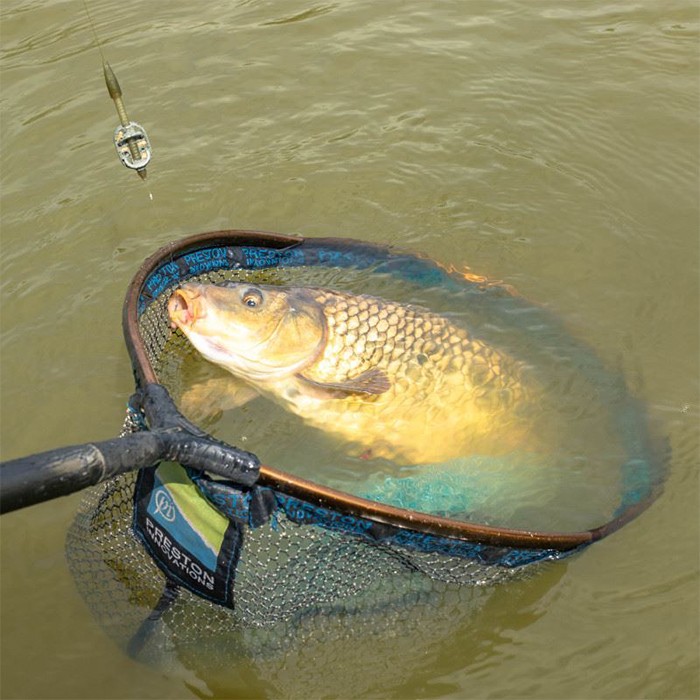 Preston ICS In-Line Dura Flat Mini Method Fishing Feeder In Use 3