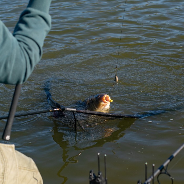 Prologic Classic Carbon Landing Net 2