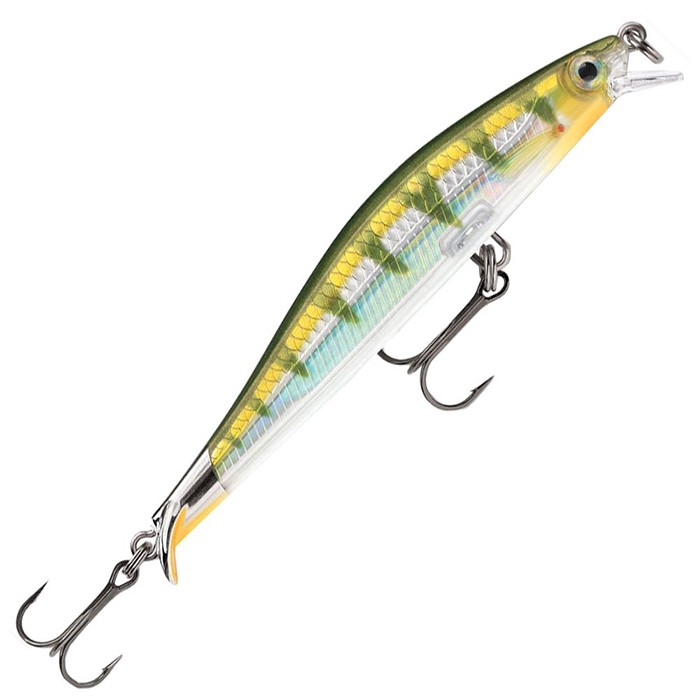 Yellow Perch