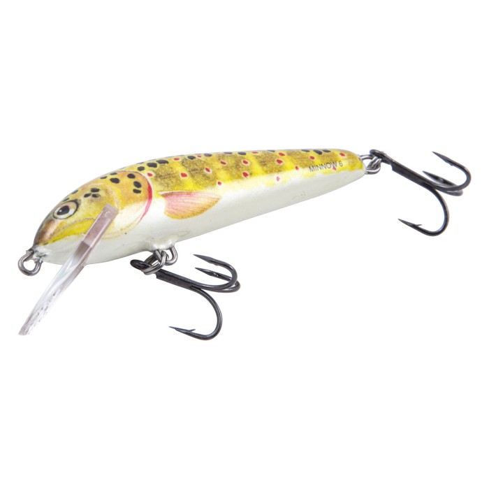 Salmo Minnow 6cm Lure 1