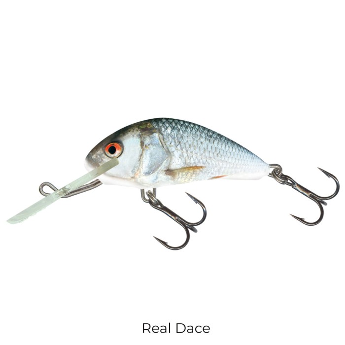 Salmo Hornet 5cm Floating Lure real dace