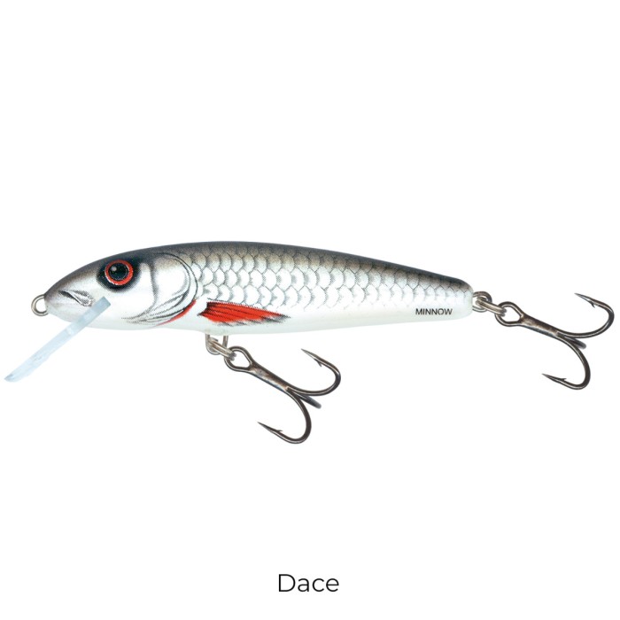 Salmo Minnow 6cm Floating Lure dace