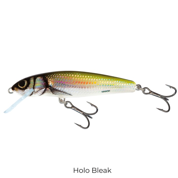 Salmo Minnow 6cm Floating Lure Holo bleak