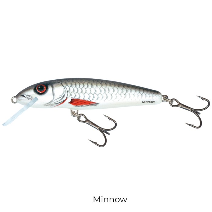 Salmo Minnow 6cm Floating Lure minnow