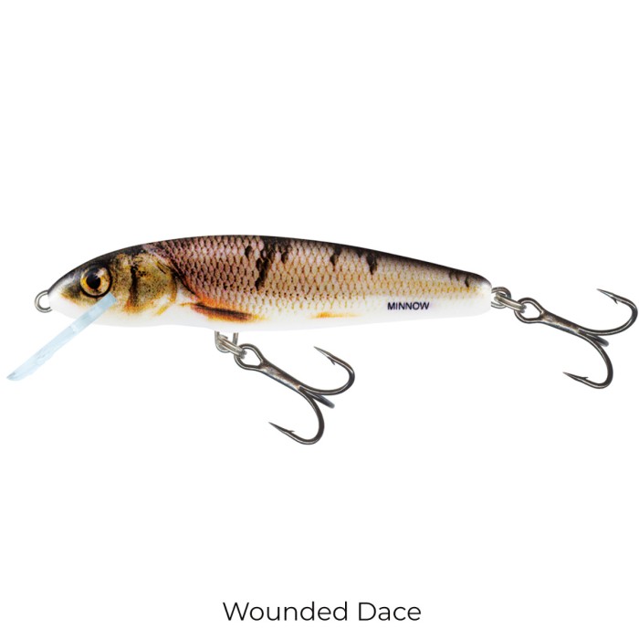 Salmo Minnow 6cm Floating Lure wounded dace