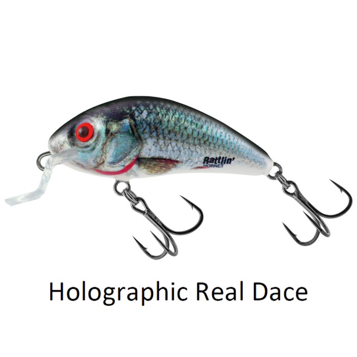 Salmo Rattlin Hornet Shallow 4.5cm Floating Lure Holographic Real Dace