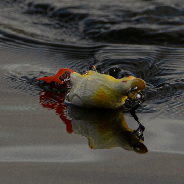 Savage Gear 3D Hollow Duckling In Use  5