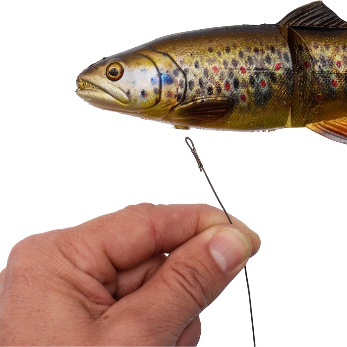 Savage Gear 4D Line Thru Trout Trace 1