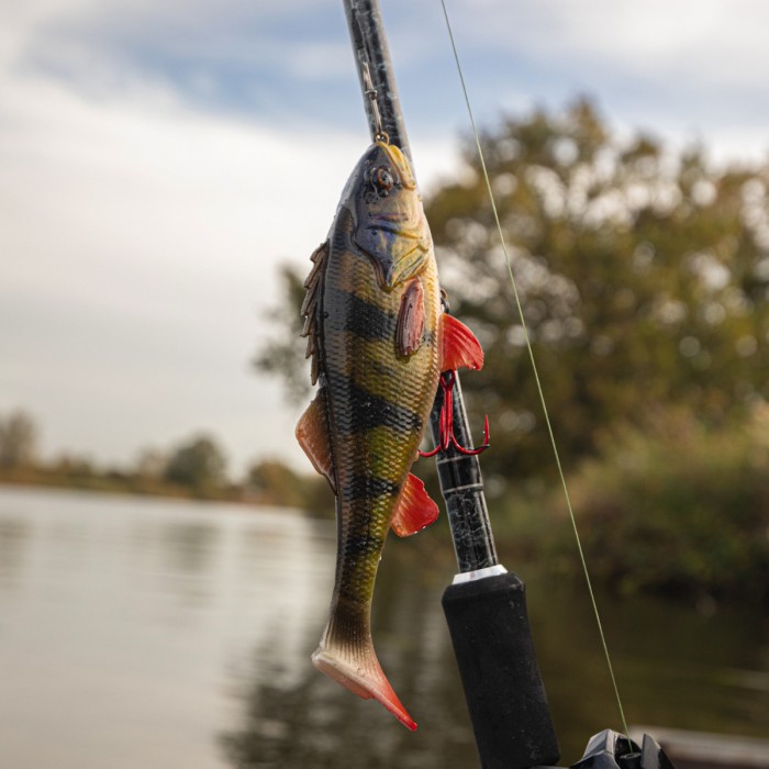 Savage gear 4D perch shad 17.5cm 75g SS In Use 4